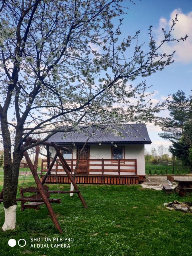 Wierchowyna Villa Uherce Mineralne Dış mekan fotoğraf